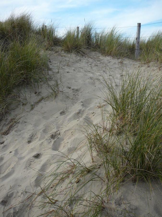 Strandslag Zanddijk 229 Julianadorp Aan Zee Exteriér fotografie